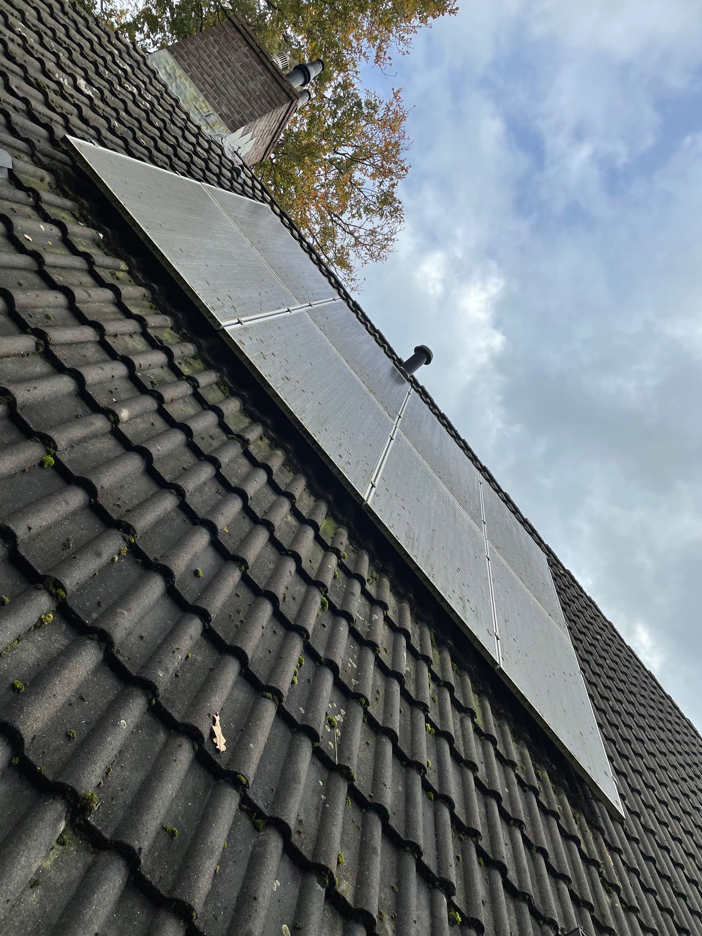 Zonnepanelen Reiniging: Maximaliseer de Energieopbrengst en Verbeter de Efficiëntie